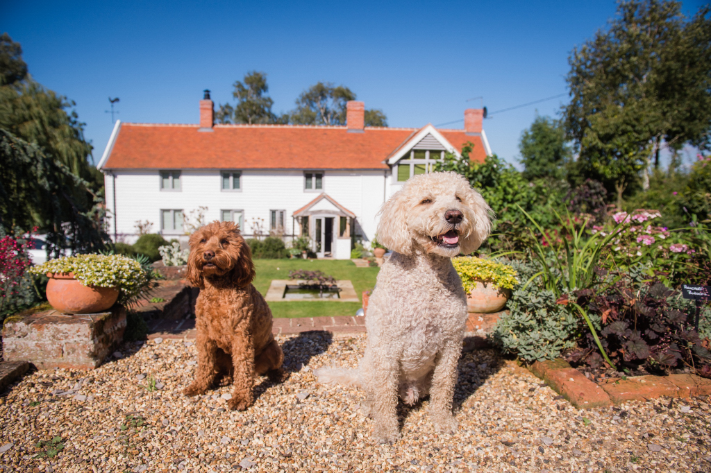 Suffolk Wedding Portrait & Commercial Photographer