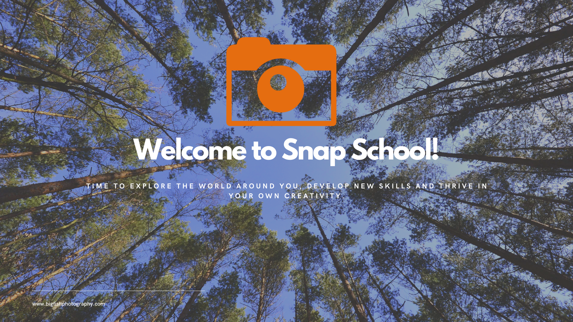Suffolk Photography Workshops for Primary Schools